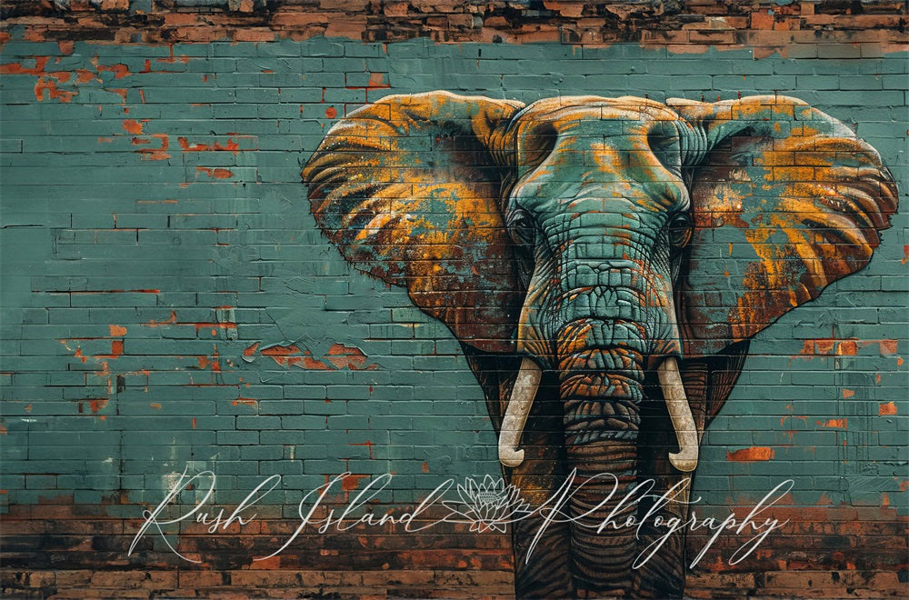 Kate Éléphant Mur de briques Graffiti Toile de fond conçue par Laura Bybee - Kate Backdrop FR