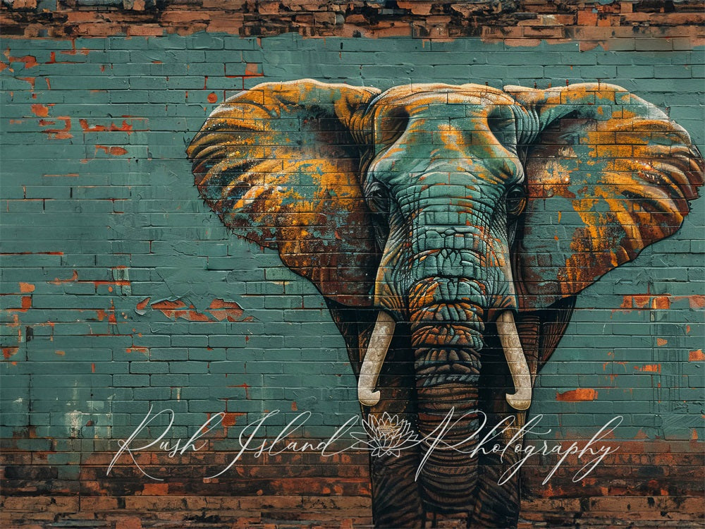 Kate Éléphant Mur de briques Graffiti Toile de fond conçue par Laura Bybee - Kate Backdrop FR