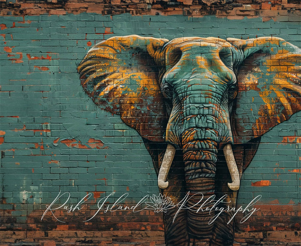 Kate Éléphant Mur de briques Graffiti Toile de fond conçue par Laura Bybee - Kate Backdrop FR