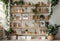 Kate Intérieur Plante verte Étagère à livres Ensoleillé Toile de fond conçue par Emetselch - Kate Backdrop FR
