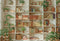 Kate Été Intérieur Plante Étagère à livres Confortable Toile de fond conçue par Emetselch - Kate Backdrop FR