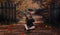 Kate Automne Forêt Chemin Brun Clôture en bois Toile de fond conçue par Emetselch - Kate Backdrop FR