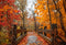 Kate Automne Forêt Érable rouge Pont de bois Toile de fond conçue par Emetselch - Kate Backdrop FR
