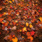 Kate Automne Forêt Feuille d'érable Rouge Sol Toile de fond conçue par Kate Image - Kate Backdrop FR