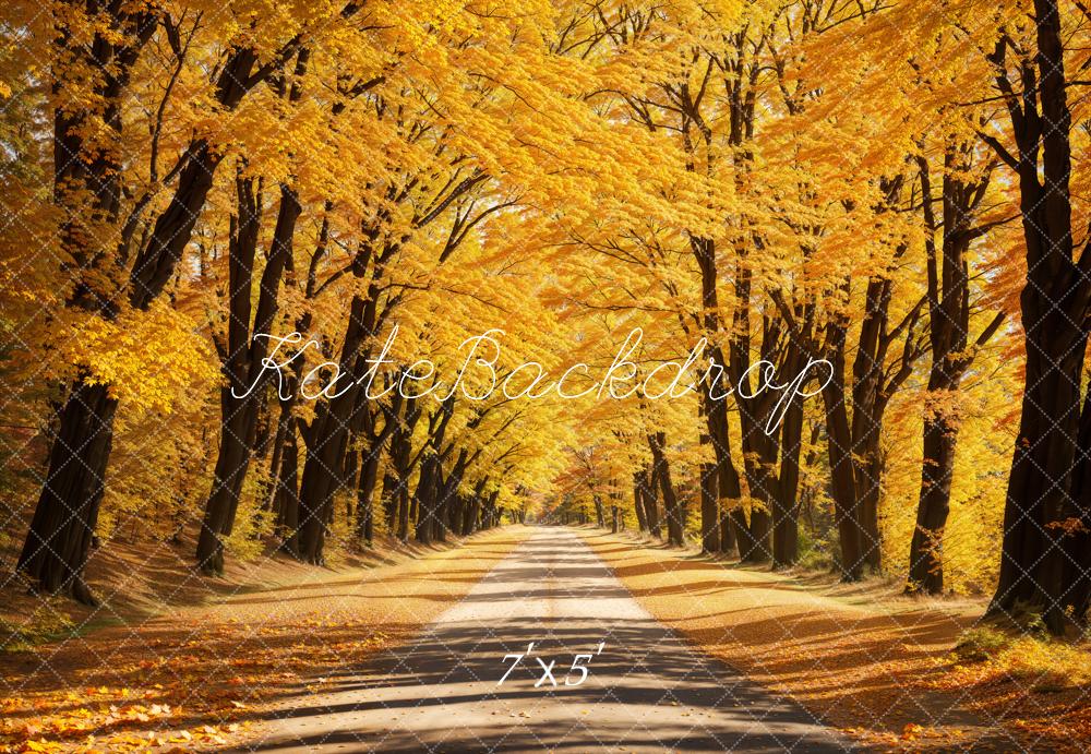 Kate Automne Extérieur Jaune Feuilles tombées Route Toile de fond conçue par Emetselch - Kate Backdrop FR