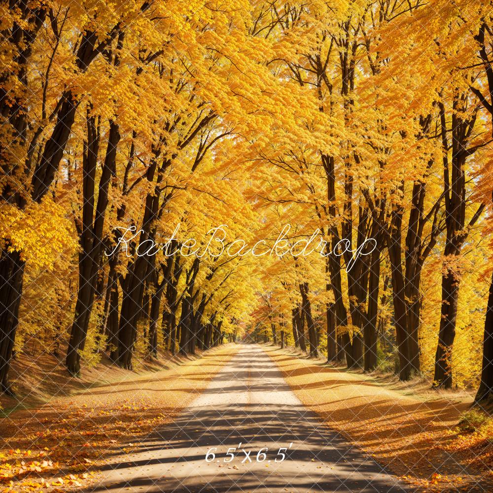 Kate Automne Extérieur Jaune Feuilles tombées Route Toile de fond conçue par Emetselch - Kate Backdrop FR