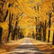 Kate Automne Extérieur Jaune Feuilles tombées Route Toile de fond conçue par Emetselch - Kate Backdrop FR