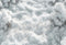 Kate Forêt Blanc Hiver Pays de neige Toile de fond conçue par Kate Image - Kate Backdrop FR