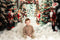 Kate Hiver Extérieur Forêt Neige Casse-Noisette Toile de fond conçue par Emetselch - Kate Backdrop FR