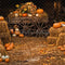 Kate Automne Citrouille Brun Grange en bois Toile de fond conçue par Chain Photographie - Kate Backdrop FR