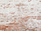 Kate Rétro Blanc Mur de briques Brisé Toile de fond conçue par Kate Image - Kate Backdrop FR