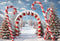 Kate Hiver Noël Forêt Neige Arche de bonbons Toile de fond conçue par Chain Photographie - Kate Backdrop FR