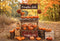 Offres Éclair-Kate Automne Forêt Halloween Stand de citrouilles Toile de fond conçue par Emetselch - Kate Backdrop FR