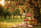 GROUPE VIP - Kate Automne Extérieur Forêt Verger de pommiers Toile de fond conçue par Emetselch - Kate Backdrop FR