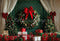 Kate Noël Rideau Vert foncé Mur Vintage Cadeaux Toile de fond conçue par Emetselch - Kate Backdrop FR