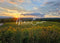 Kate Coucher de soleil Montagne Prairie Toile de fond conçue par Michele Ernst Photographie - Kate Backdrop FR