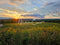 Kate Coucher de soleil Montagne Prairie Toile de fond conçue par Michele Ernst Photographie - Kate Backdrop FR
