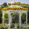 Kate Automne Belvédère Tournesol Jardin Toile de fond conçue par Mini MakeBelieve - Kate Backdrop FR