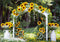 Kate Automne Arche Tournesol Belvédère Forêt Toile de fond conçue par Mini MakeBelieve - Kate Backdrop FR