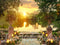 Kate Coucher de soleil Quai Chemin Fleurs Toile de fond conçue par Mini MakeBelieve - Kate Backdrop FR