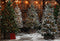 GROUPE VIP - Kate Sapin de Noël Magasin Vert Nuit Neige Toile de fond conçue par Emetselch - Kate Backdrop FR