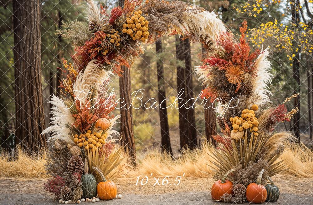 GROUPE VIP - Kate Automne Bohème Forêt Citrouille Arche Toile de fond conçue par Emetselch - Kate Backdrop FR
