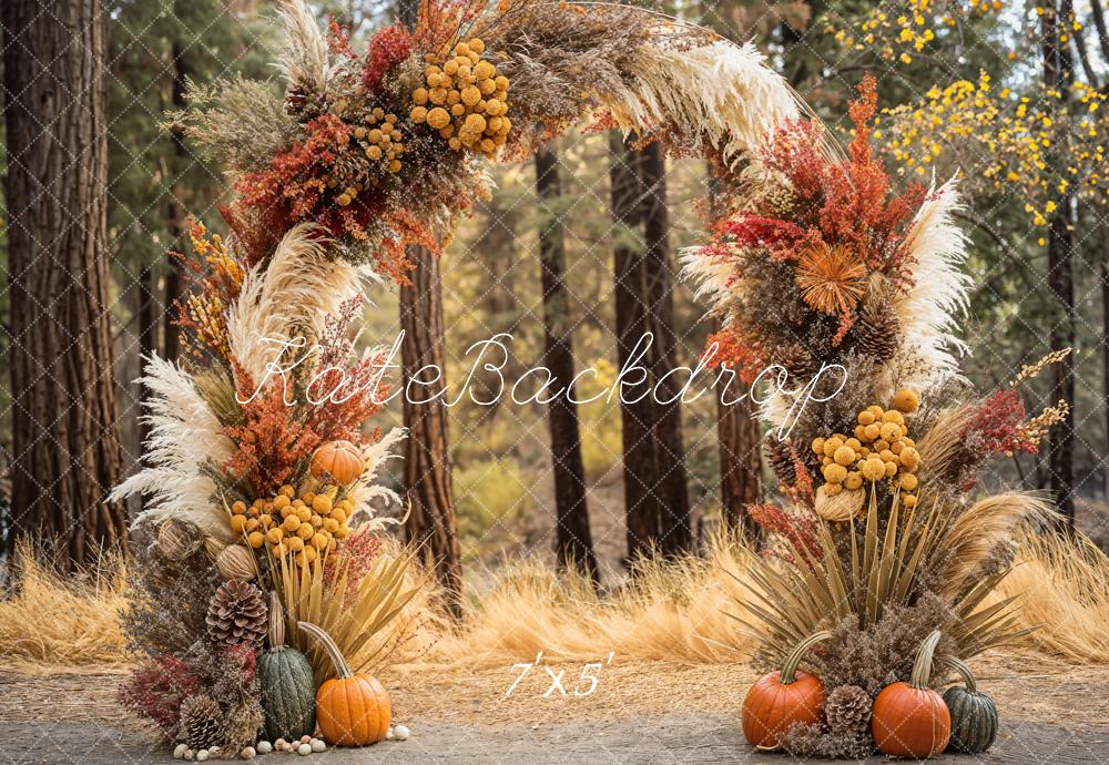 GROUPE VIP - Kate Automne Bohème Forêt Citrouille Arche Toile de fond conçue par Emetselch - Kate Backdrop FR