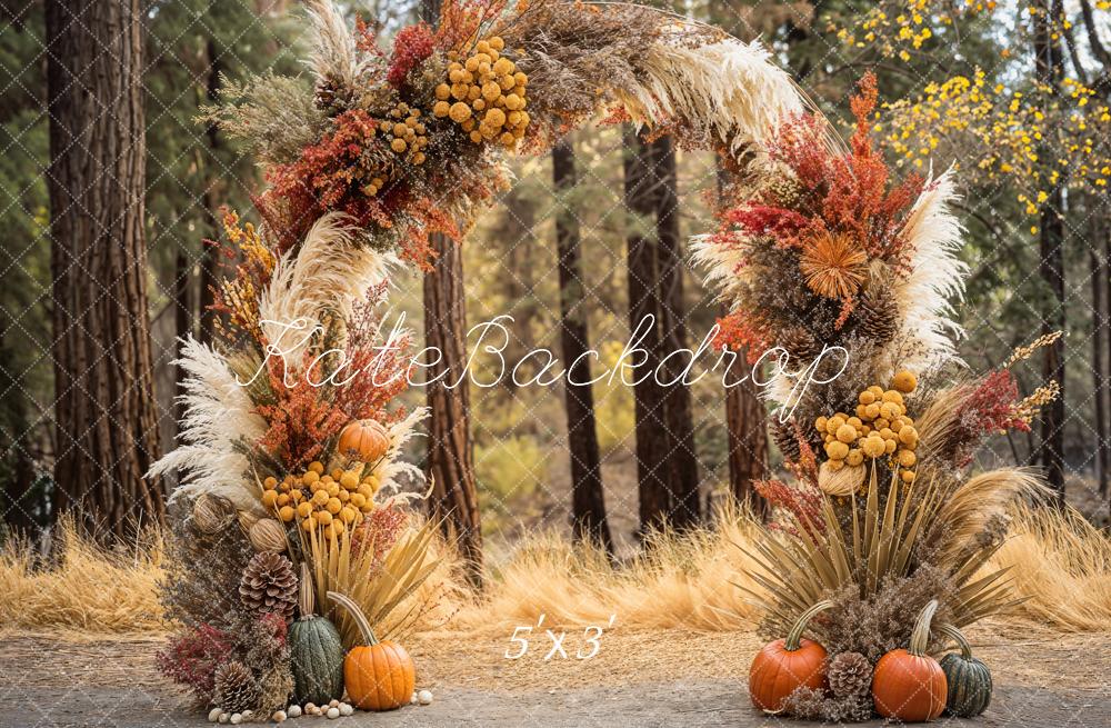 GROUPE VIP - Kate Automne Bohème Forêt Citrouille Arche Toile de fond conçue par Emetselch - Kate Backdrop FR