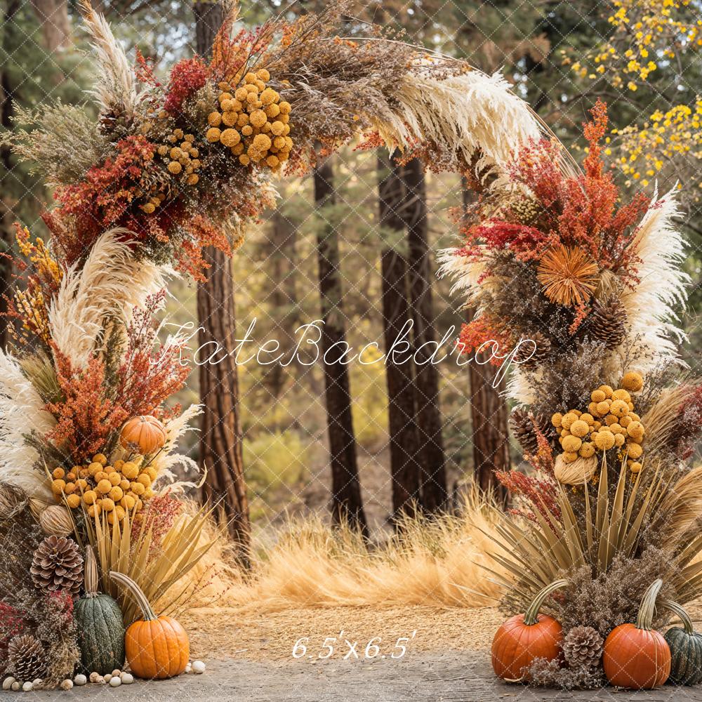 GROUPE VIP - Kate Automne Bohème Forêt Citrouille Arche Toile de fond conçue par Emetselch - Kate Backdrop FR