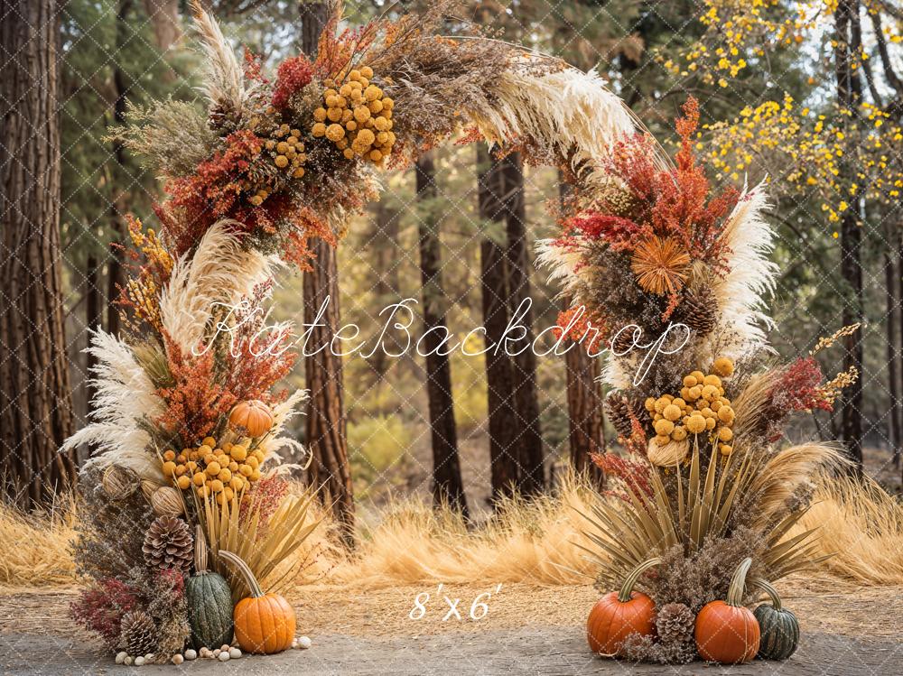 GROUPE VIP - Kate Automne Bohème Forêt Citrouille Arche Toile de fond conçue par Emetselch - Kate Backdrop FR