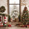 Kate Fée de Noël Fenêtre Mur de briques Toile de fond conçue par Emetselch - Kate Backdrop FR