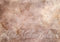 GROUPE VIP - Kate Abstrait Crème Beige Sol Toile de fond conçue par Mini MakeBelieve - Kate Backdrop FR