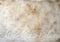 GROUPE VIP - Kate Abstrait Blanc Marron Sol/Mur Toile de fond conçue par Mini MakeBelieve - Kate Backdrop FR