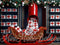 Kate Noël Intérieur Cadeaux Traîneau Toile de fond conçue par Mini MakeBelieve - Kate Backdrop FR