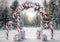 Kate Noël Forêt Arche de Bonbons et Cadeaux Toile de fond conçue par Mini MakeBelieve - Kate Backdrop FR