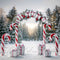 Kate Noël Forêt Arche de Bonbons et Cadeaux Toile de fond conçue par Mini MakeBelieve - Kate Backdrop FR
