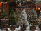 Kate Sapin de Noël Magasin Lumière Toile de fond conçue par Emetselch - Kate Backdrop FR