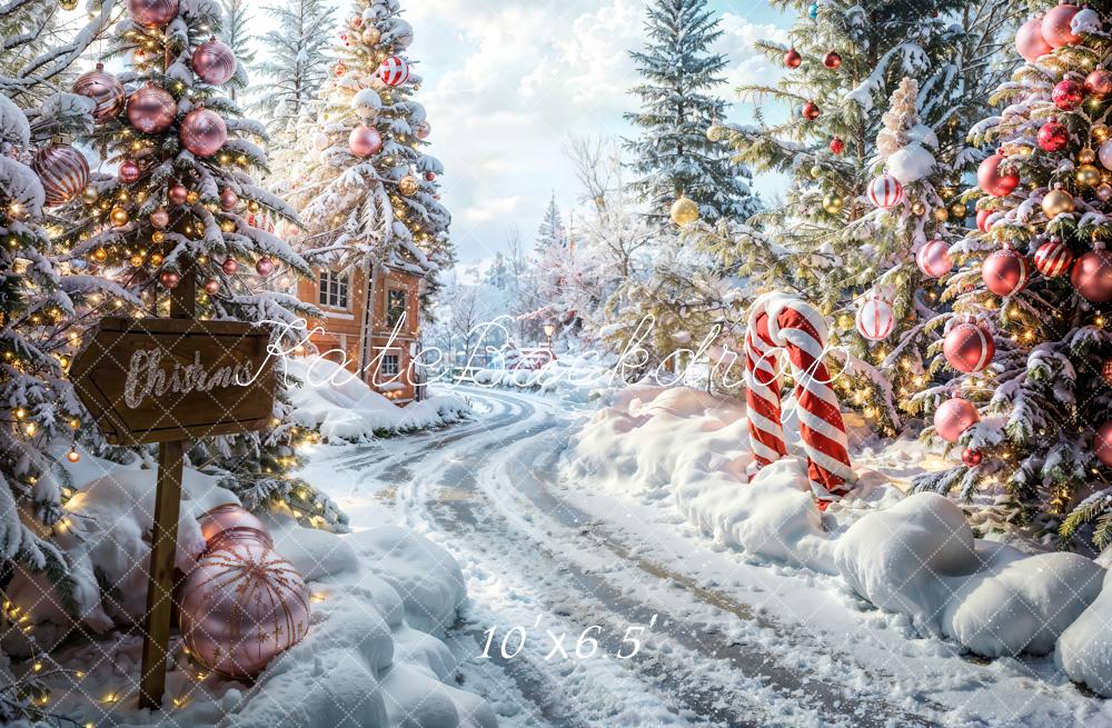 Kate Noël Extérieur Forêt Chemin Toile de fond conçue par Emetselch - Kate Backdrop FR