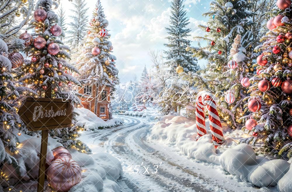 Kate Noël Extérieur Forêt Chemin Toile de fond conçue par Emetselch - Kate Backdrop FR