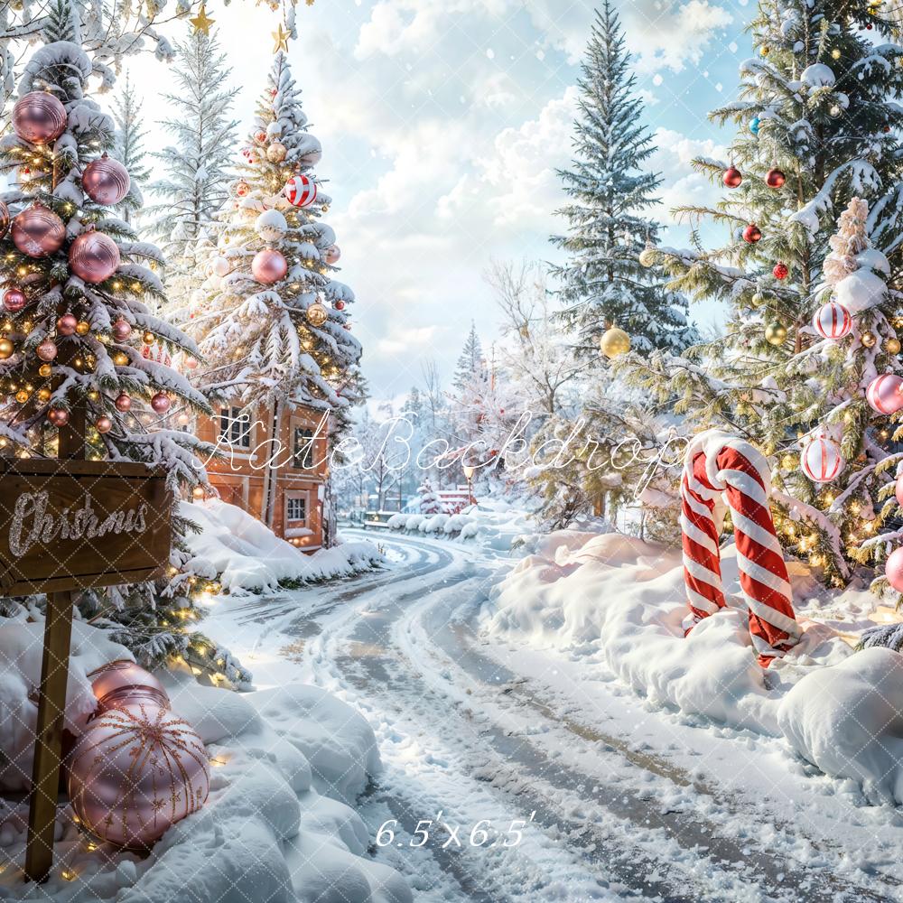 Kate Noël Extérieur Forêt Chemin Toile de fond conçue par Emetselch - Kate Backdrop FR