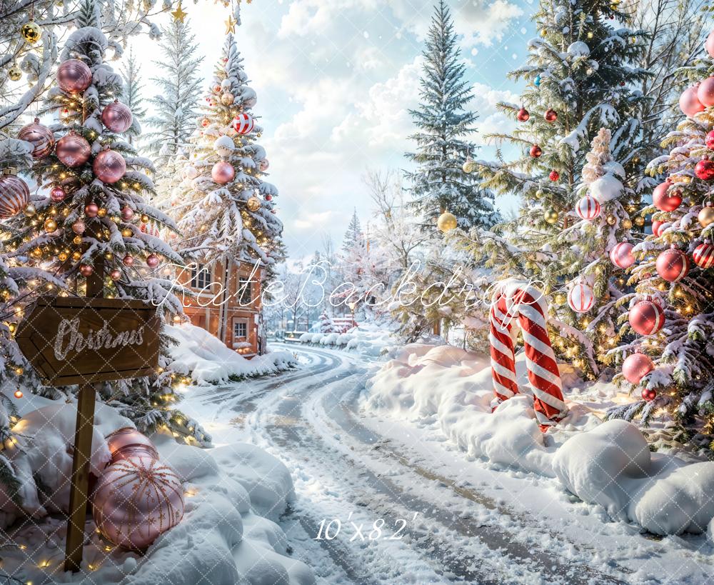 Kate Noël Extérieur Forêt Chemin Toile de fond conçue par Emetselch - Kate Backdrop FR