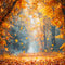 Kate Automne Forêt d'érables Feuilles tombées Toile de fond conçue par Emetselch - Kate Backdrop FR