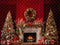 Kate Noël Intérieur Rétro Cheminée Mur rouge Toile de fond conçue par Emetselch - Kate Backdrop FR