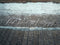 Kate Hiver Neige Carrelage Sombre Sol Toile de fond conçue par Laura Bybee - Kate Backdrop FR