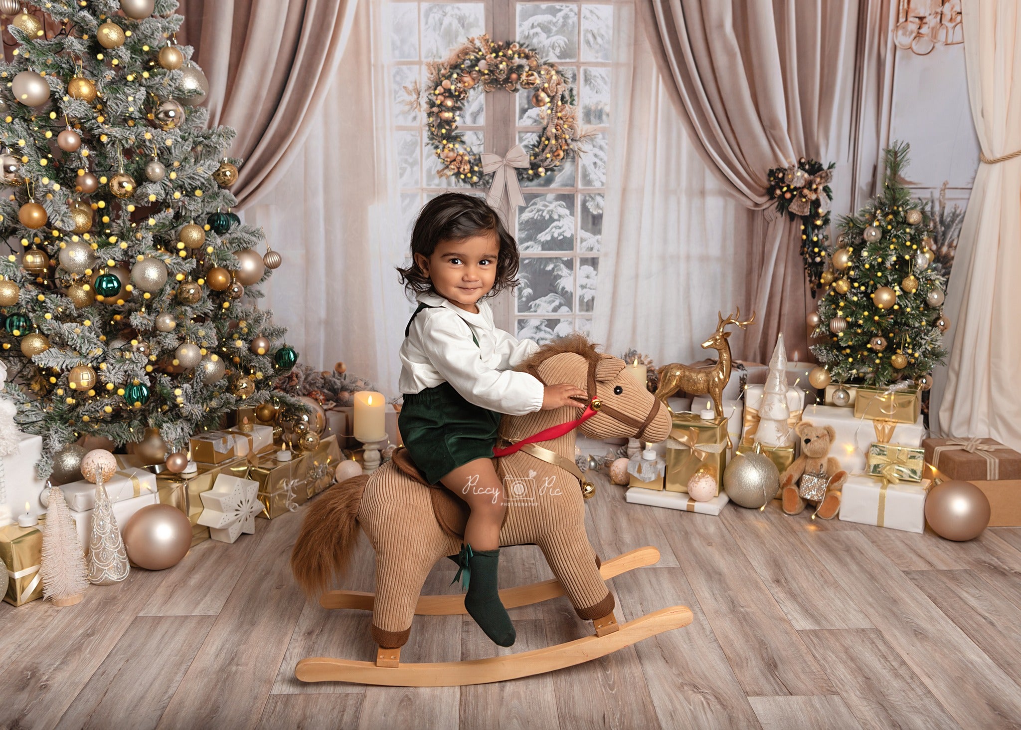 Kate Noël Beige Rideau Fenêtre Classique Toile de fond conçue par Emetselch - Kate Backdrop FR