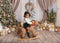 Kate Noël Beige Rideau Fenêtre Classique Toile de fond conçue par Emetselch - Kate Backdrop FR