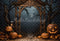 Kate Halloween Sombre Citrouille Arche Nuit Toile de fond conçue par Emetselch - Kate Backdrop FR