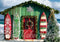 Kate Noël Plage Mer Magasin Planches de surf Toile de fond conçue par Mini MakeBelieve - Kate Backdrop FR
