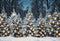Kate Noël Extérieur Neige Forêt Lumières Toile de fond conçue par Emetselch - Kate Backdrop FR