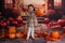 Kate Automne Coucher de soleil Citrouille Arche Toile de fond+Brun Chemin de pierre Sol Toile de fond